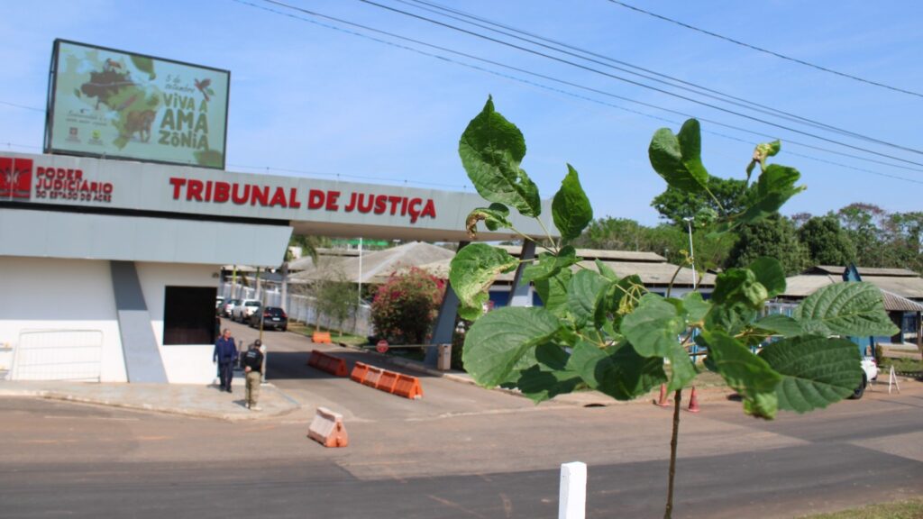 Plantando-futuro-4setembro20a25-36