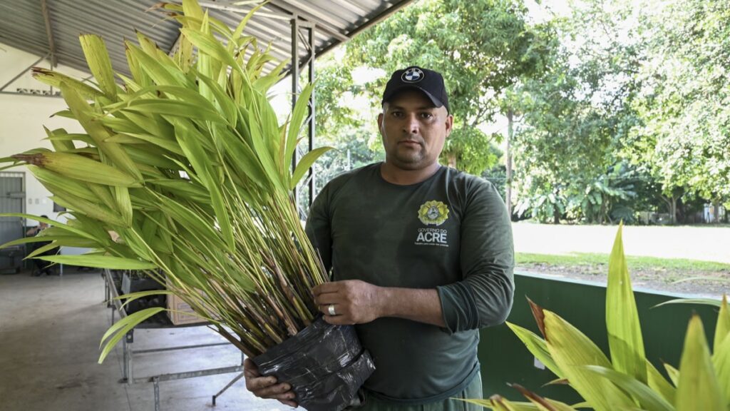 plantando_futuro_logistica_viveiro_tjac_6