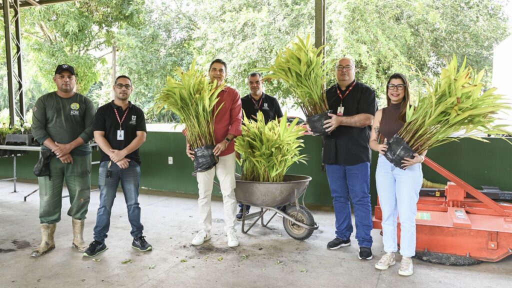 plantando_futuro_logistica_viveiro_tjac_8